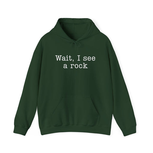 Wait I See a Rock Hoodie - Funny Hiking Geology Gift - t420a25