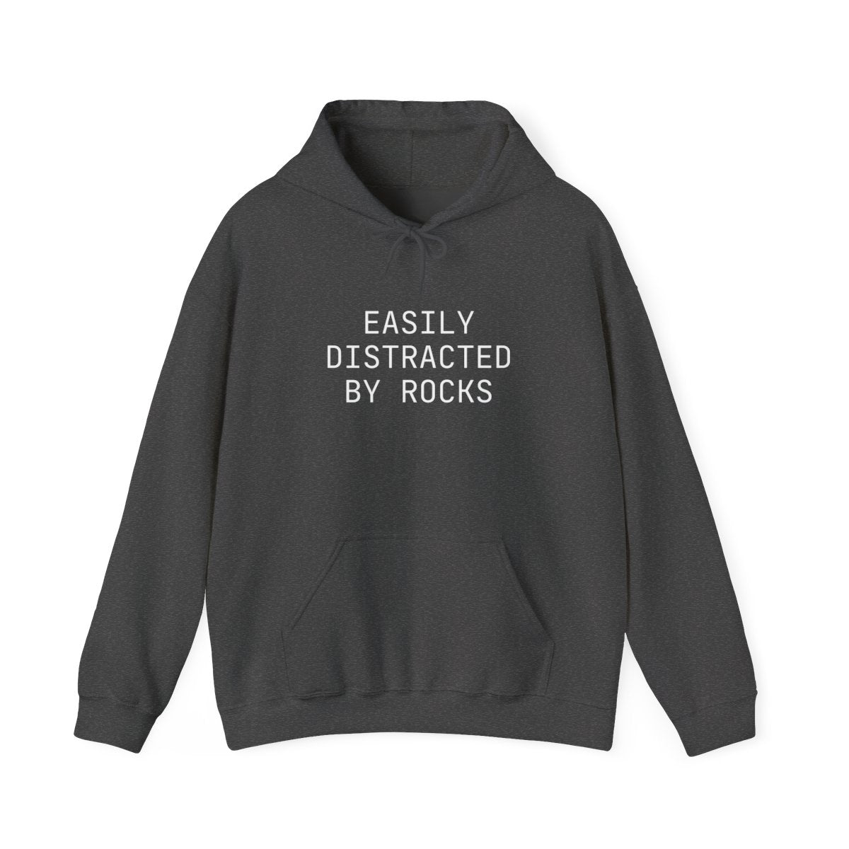 Easily Distracted by Rocks Hoodie - t421a25