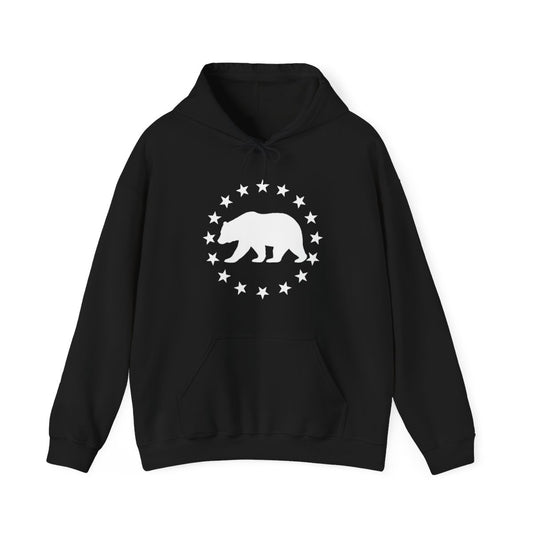 Bear and Stars Patriotic Hoodie for Outdoor Lovers - t427a25