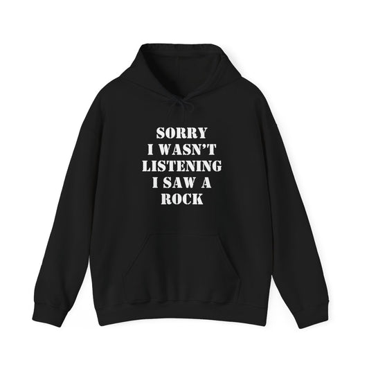 Sorry I Wasn’t Listening I Saw a Rock Hoodie - t422a25